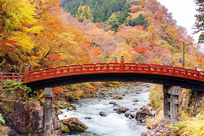 tokyo and kyoto tour package