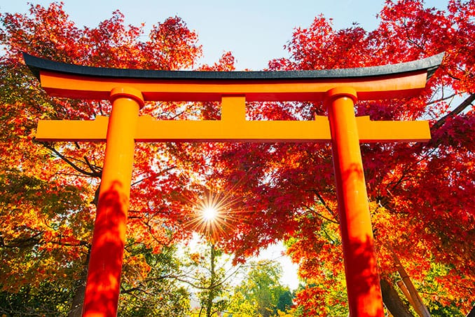 tokyo and kyoto tour package