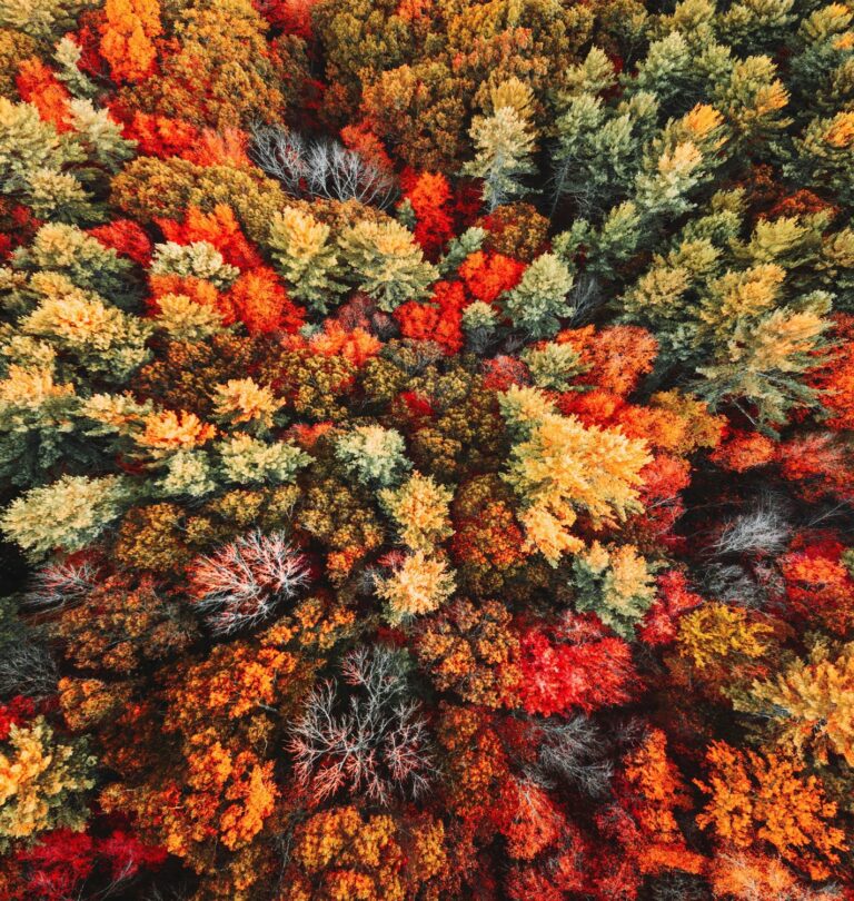 Autumn Around the World: 14 Pretty Places to Leaf Peep