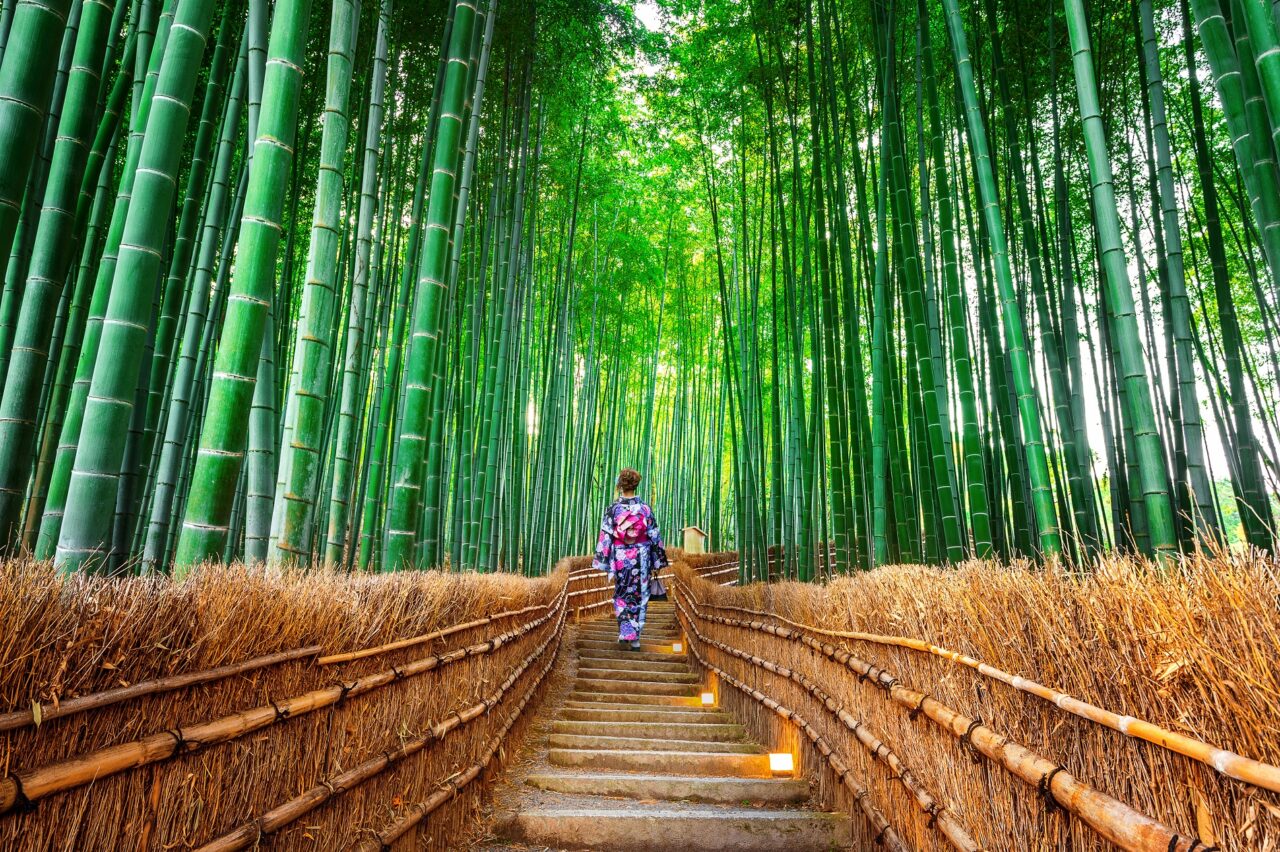 Bamboo Forest