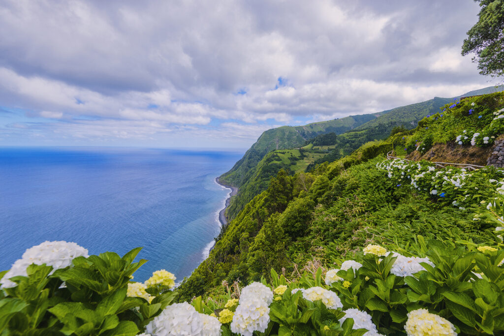 A scenic coastal landscape featuring a lush green hillside with hydrangeas in the foreground, overlooks a vast blue ocean under a partly cloudy sky. The coastline stretches into the distance, displaying dramatic, steep cliffs—a perfect snapshot for those considering Portugal vacation packages.