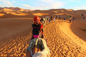 Morocco_Caravan of Camels