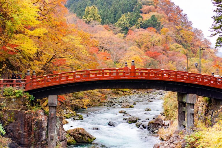 shinkyo bridge with yellow leaf
