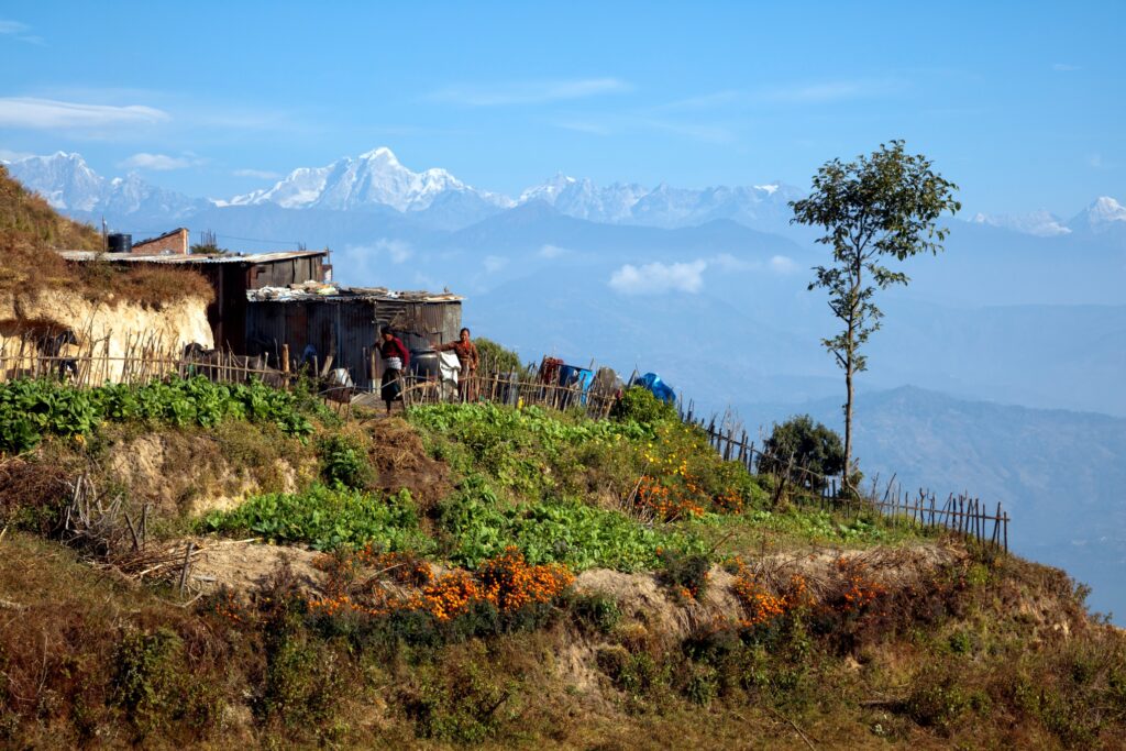 A terraced farm on a Himalayan hillside with a simple house, a few people working, and a tree in the foreground. Snow-capped mountains are visible in the background under a clear blue sky. This hidden wonder features green crops and orange flowers.