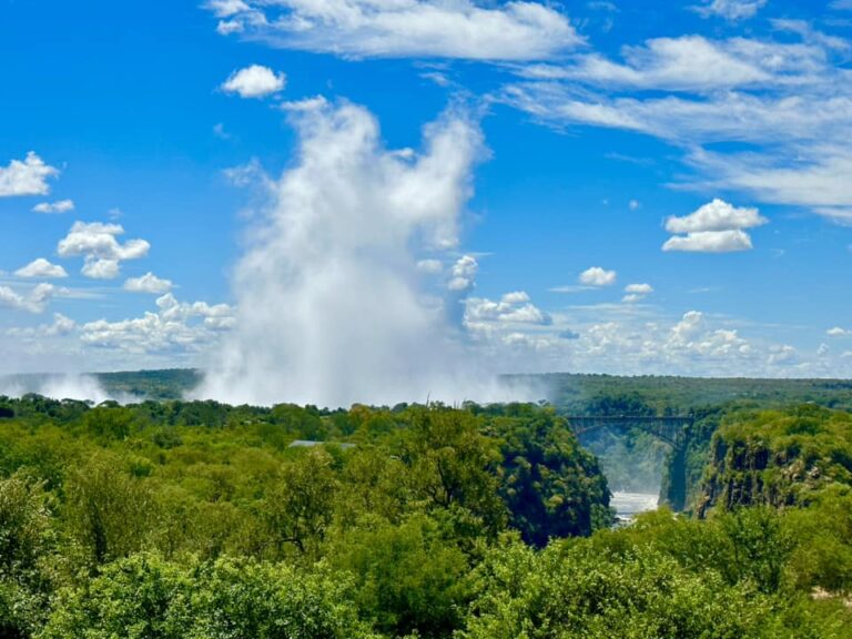 Q&A: South Africa Highlights & Safari with Victoria Falls - smarTours