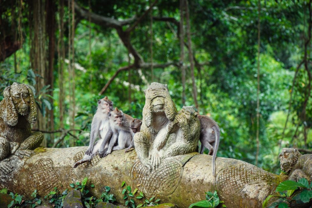 A group of monkeys sits on a moss-covered stone sculpture of monkeys in a lush, green forest in Bali. The stone carvings depict various poses and expressions, blending seamlessly into the natural surroundings with vines and foliage.