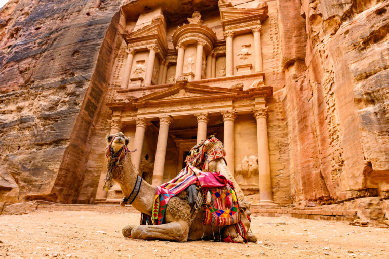 Picture of a camel sitting in front of Petra, a UNESCO site.