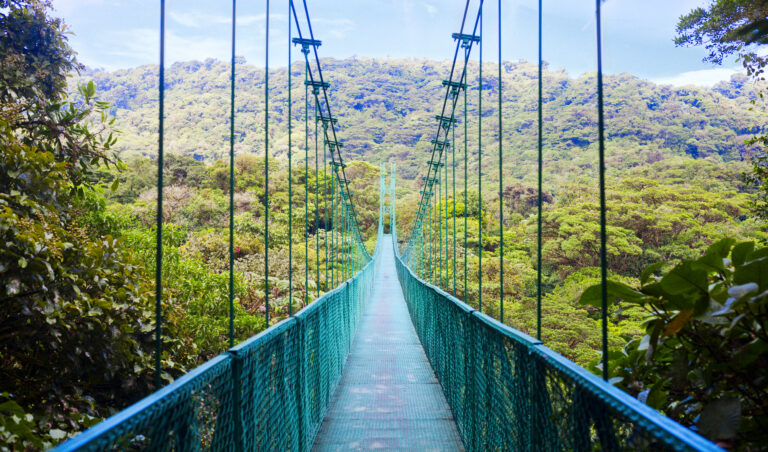 Picture of suspension bridge in the jungles of Costa Rica.