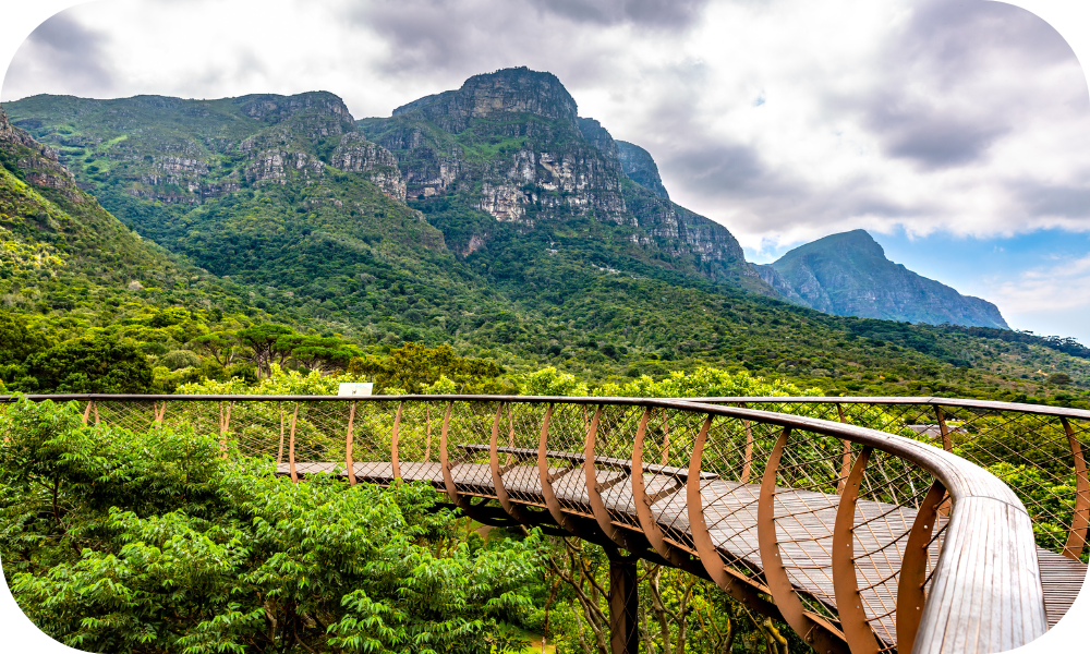 A curved wooden walkway winds through lush green treetops, leading towards towering mountains under a cloudy sky. The tranquil scene offers nature's best deals: vibrant and serene vistas showcasing the landscape's natural beauty.