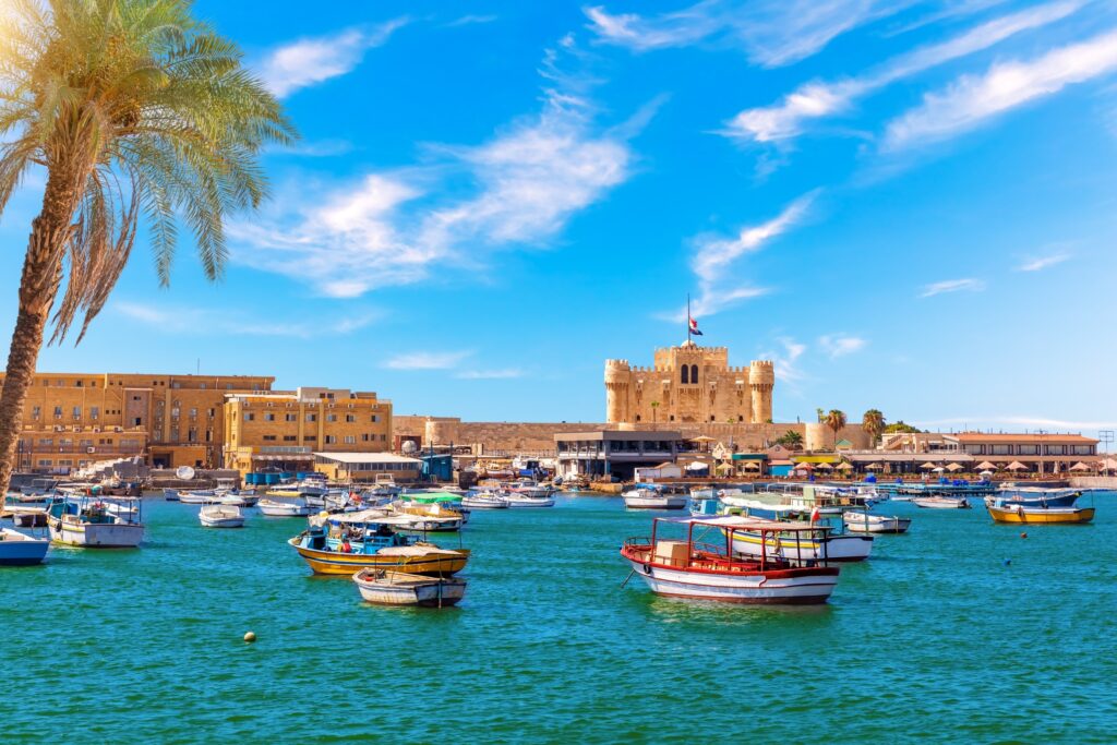 A sunlit harbor filled with various boats floating on blue water, some with colorful paint. A historic stone fortress stands in the background under a vibrant blue sky with a few wispy clouds. A tall palm tree occupies the left side of the image, creating a scene reminiscent of exotic egypt tour packages.