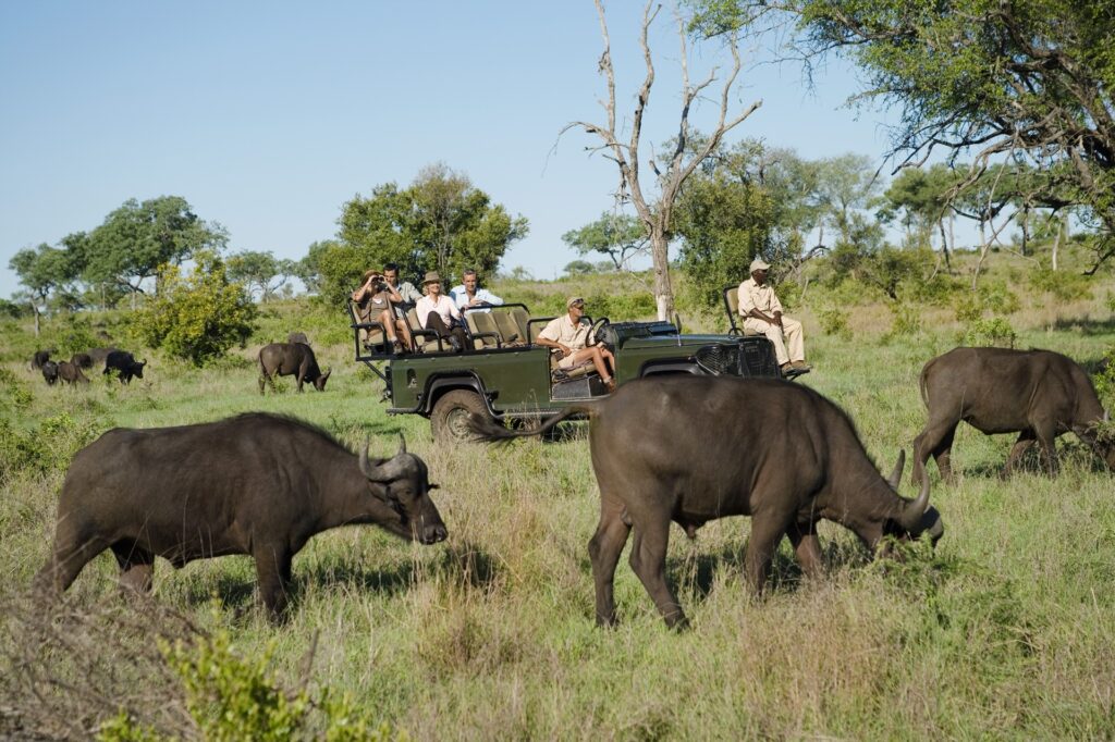 Kruger National Park, South Africa