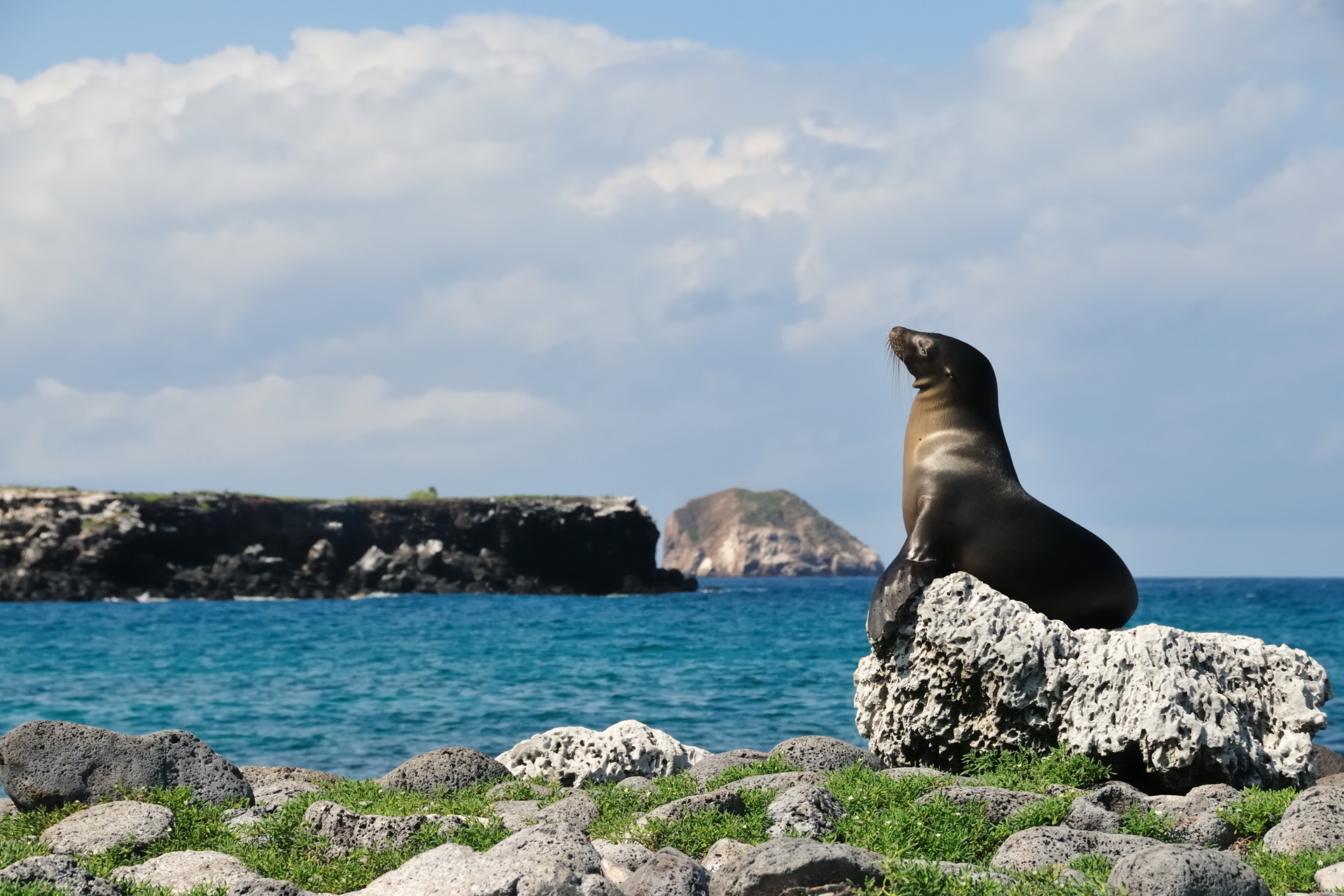 Galapagos Islands