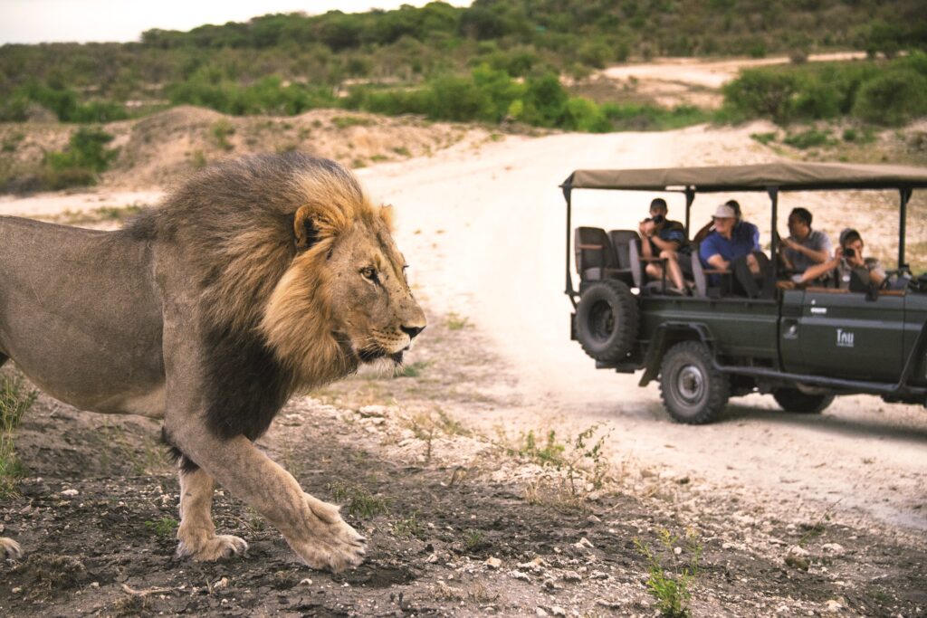 South Africa, Kruger National Park