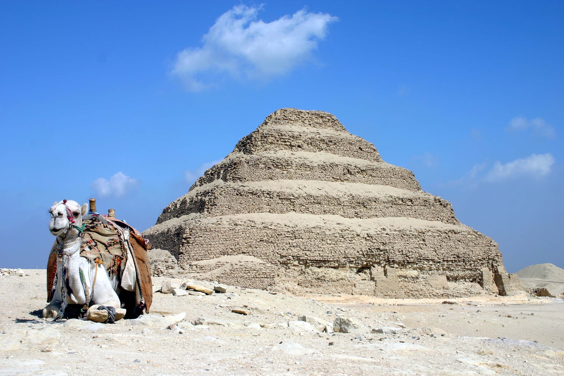 Sakkara Tour