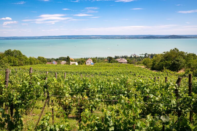 A lush vineyard slopes down towards a large, calm lake under a clear blue sky. Small houses are scattered amongst the greenery, and trees border the vineyard and lake. Sailboats dot the distant water as if inviting you on a Prague-Vienna-Budapest tour, and the landscape stretches to the horizon.