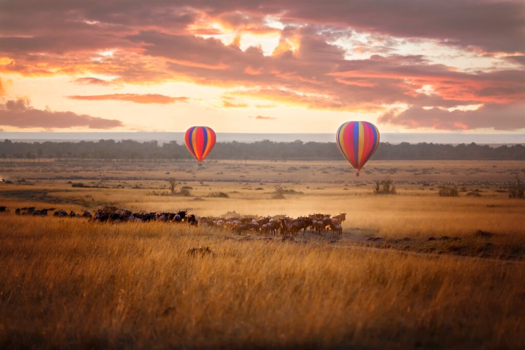 Masai Mara