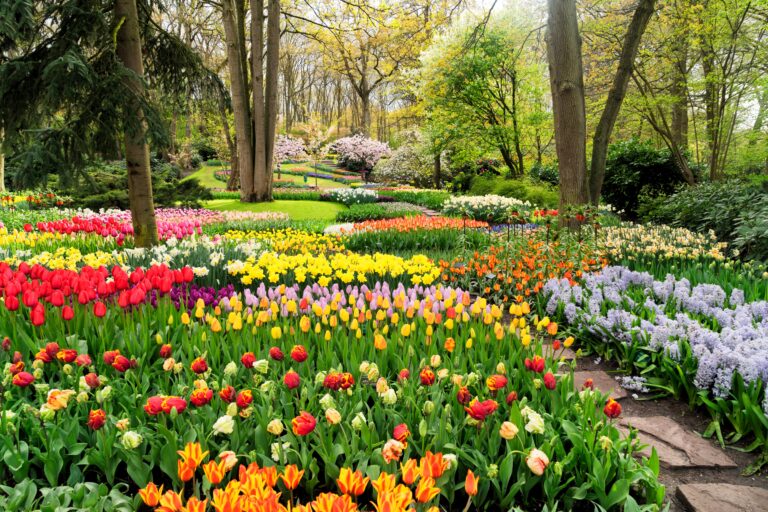 A lush garden in spring featuring a vibrant array of blooming flowers in various colors, including red, yellow, pink, orange, purple, and white. The garden is surrounded by tall trees and greenery, with pathways winding through the colorful flower beds.