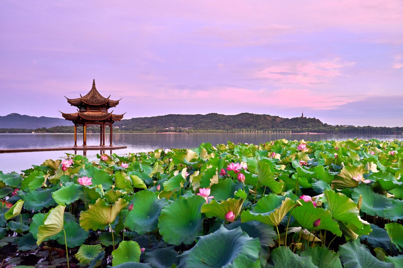 A tranquil scene of a traditional pagoda standing in a lake with vibrant pink and green lotus flowers in the foreground. The sky is painted with soft pink and purple hues during sunset, and lush green hills are visible in the background.