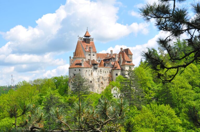 A castle with red-tiled roofs sits atop a hill surrounded by lush green trees under a blue sky with scattered clouds. The castle's towers and walls are visible, creating a picturesque and serene landscape.