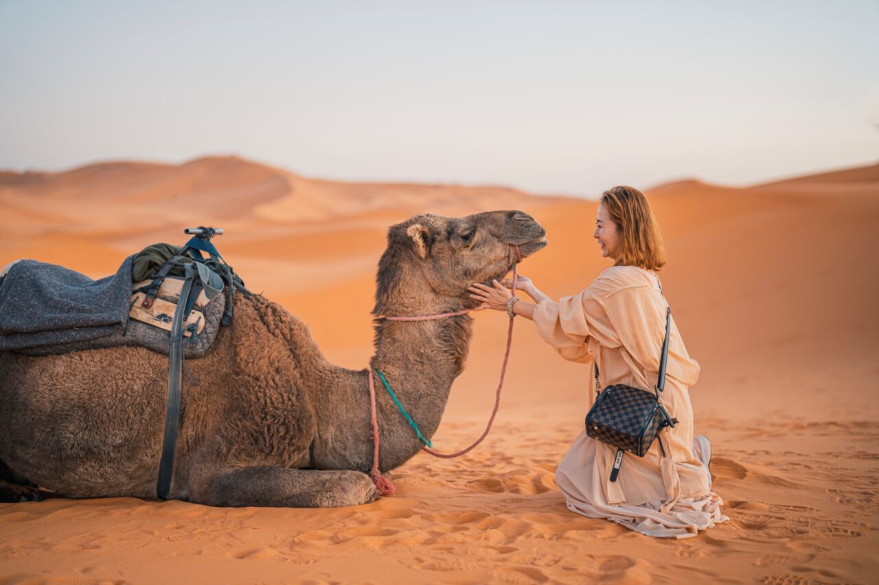 A woman kneels in the sand, gently petting a seated camel in a vast desert landscape. She wears light-colored clothing and has a small crossbody bag. The sky is clear, and the dunes stretch into the distance.