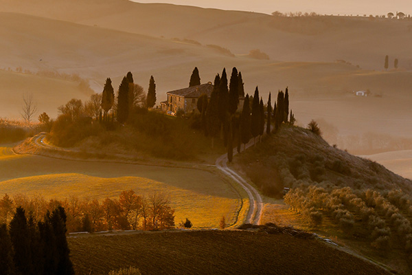 A secluded villa surrounded by tall cypress trees stands on a hill in a misty landscape. The warm glow of sunrise casts gentle light and shadows across the rolling hills and winding dirt path leading to the villa.