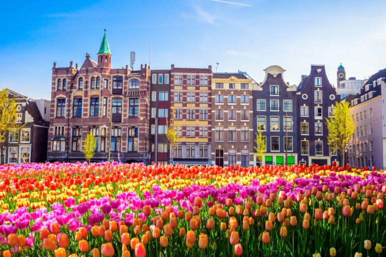 Timeless Tulips River Cruise with Amsterdam