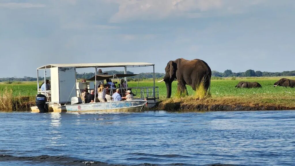 A group of people on a safari boat observes an elephant standing near the water's edge in a grassy landscape. The sky is partly cloudy, and other animals are visible in the background.